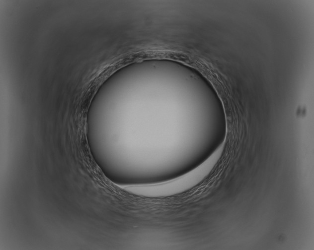 X0000091661157200708230943