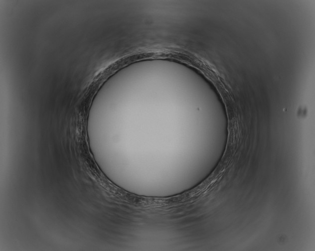 X0000091661158200708230943