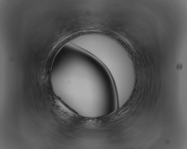 X0000091661160200708230943