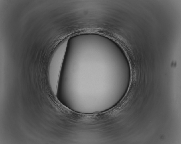 X0000091661161200708230943