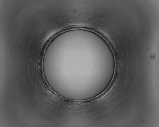 X0000091661163200708230943