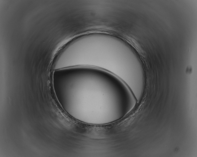 X0000091661164200708230943
