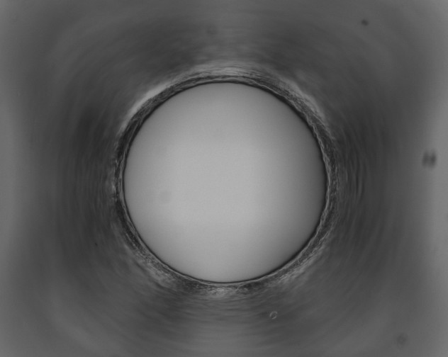X0000091661166200708230943