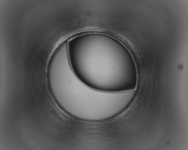 X0000091661168200708230943