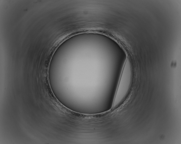 X0000091661169200708230943