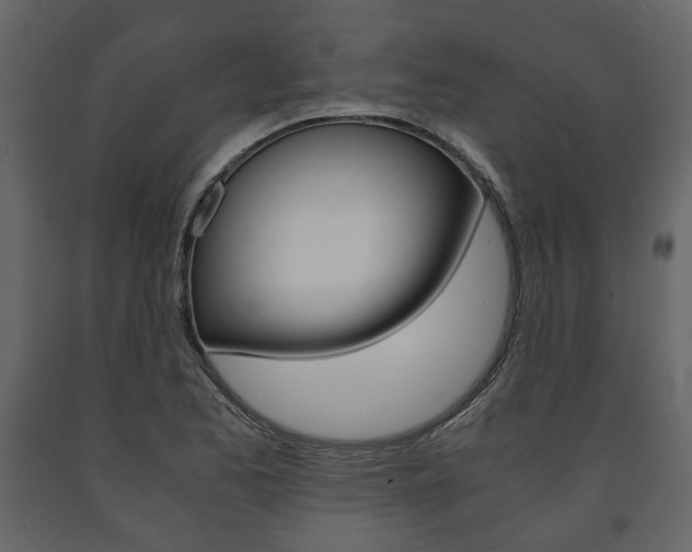 X0000091661173200708230943