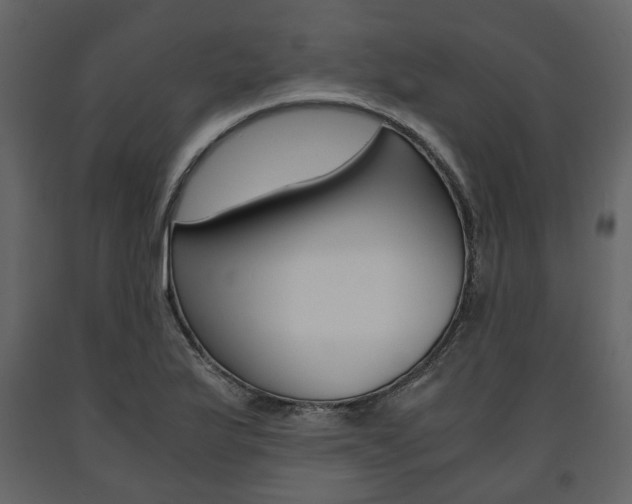 X0000091661175200708230943