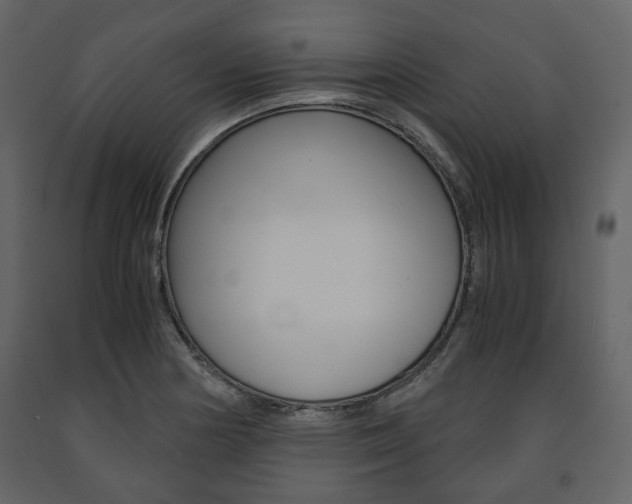 X0000091661178200708230943