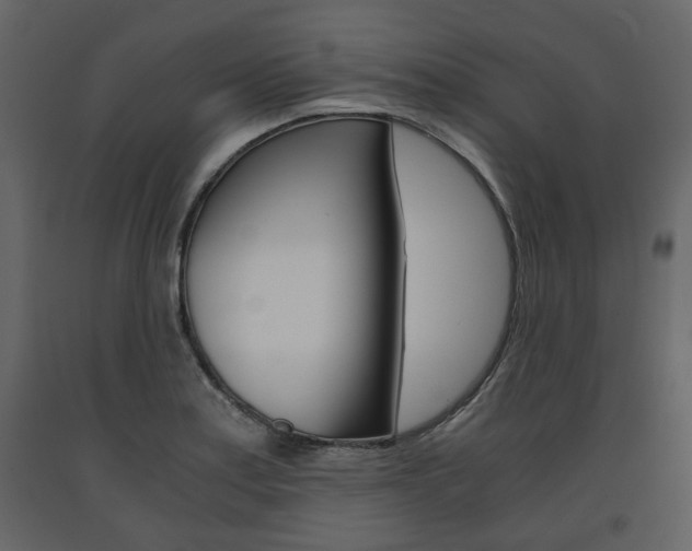 X0000091661179200708230943