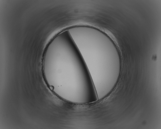 X0000091661183200708230943