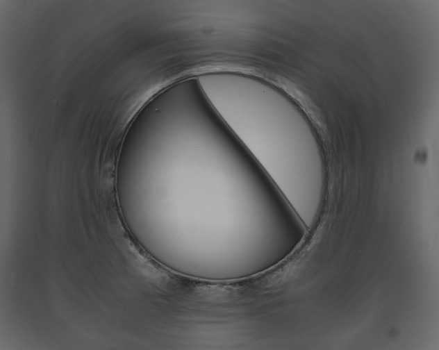 X0000091661185200708230943