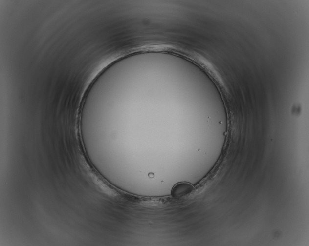 X0000091661186200708230943