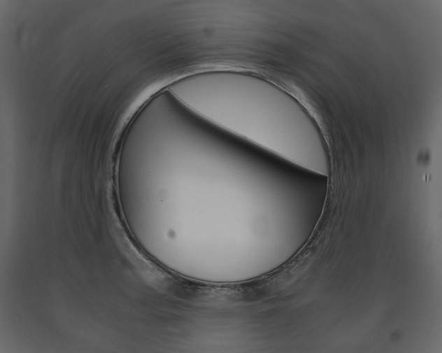 X0000091661187200708230943