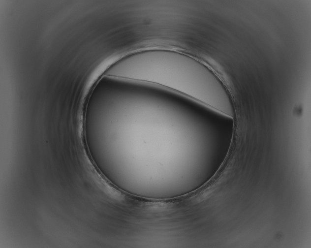 X0000091661188200708230943