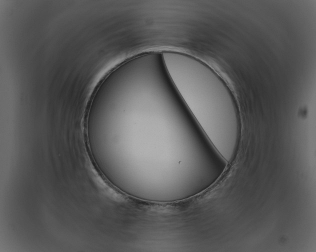 X0000091661189200708230943