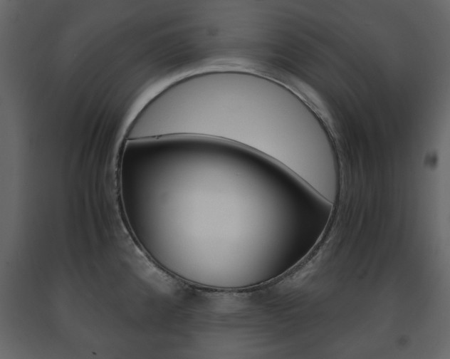 X0000091661192200708230943