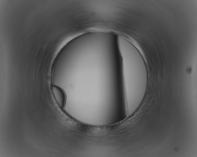 X0000091661195200708230943