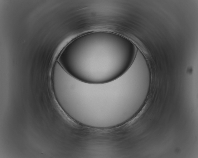 X0000091661196200708230943