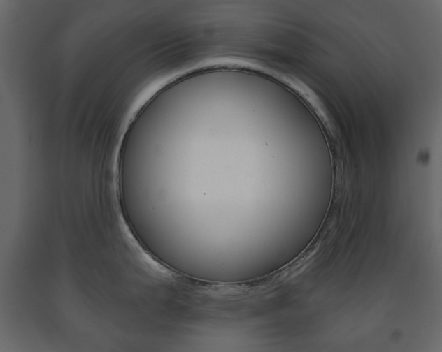 X0000091661199200708230943