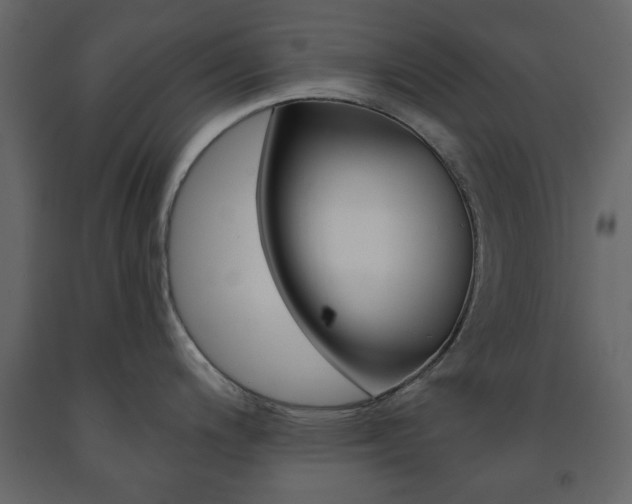 X0000091661200200708230943