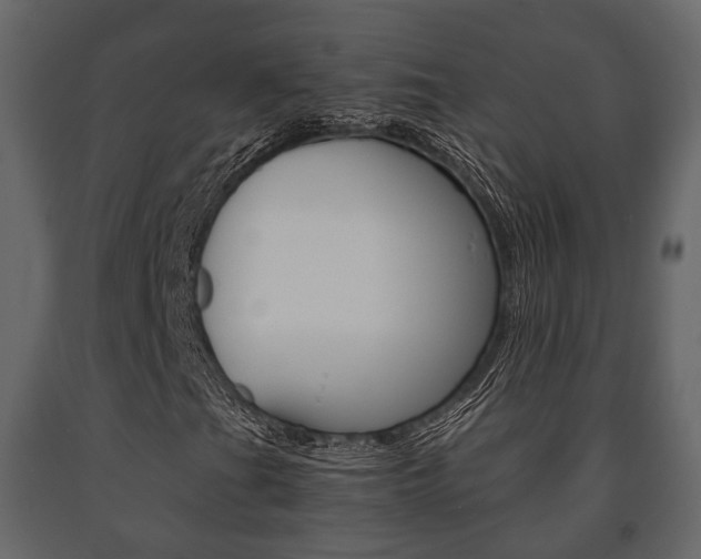 X0000091661201200708230942