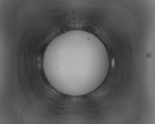 X0000091661203200708230942
