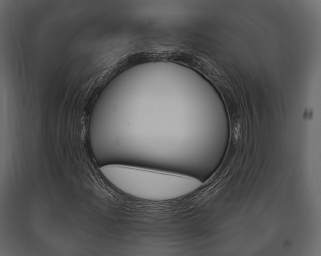 X0000091661204200708230942