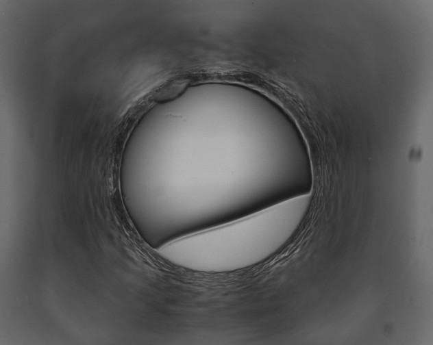 X0000091661205200708230942