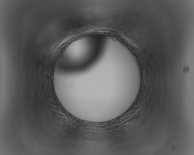 X0000091661206200708230942