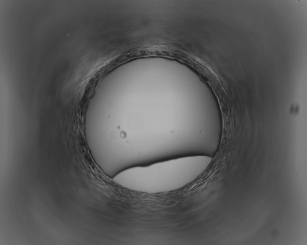 X0000091661207200708230942