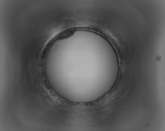 X0000091661208200708230942