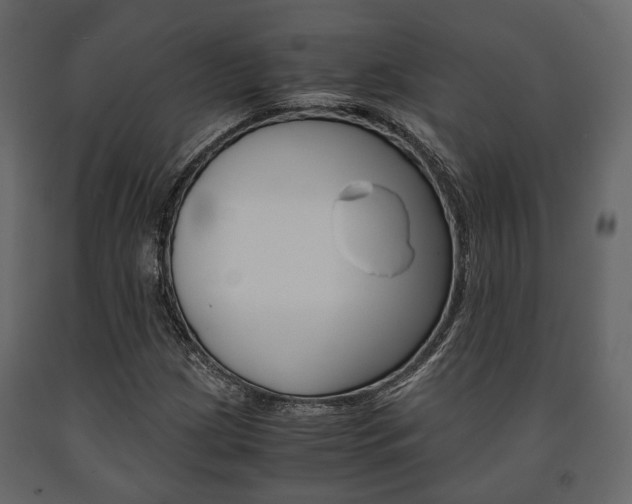 X0000091661209200708230942
