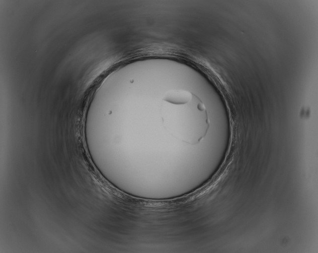 X0000091661211200708230942