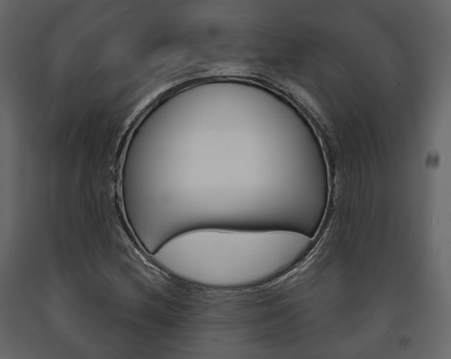 X0000091661212200708230942