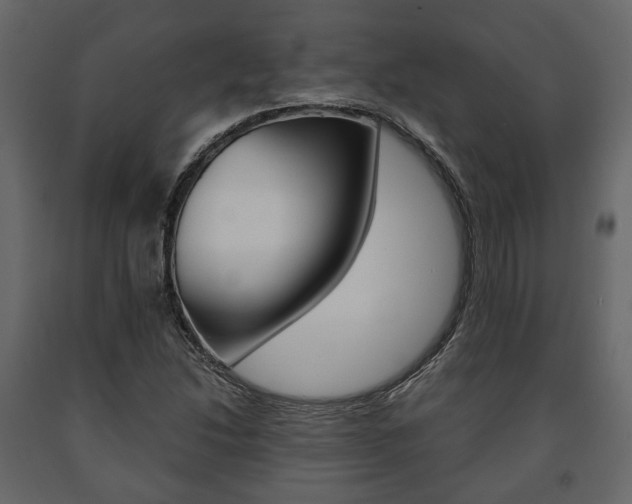 X0000091661214200708230942
