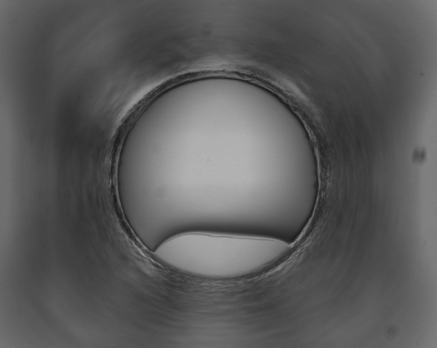 X0000091661216200708230942