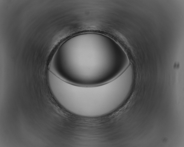 X0000091661218200708230942