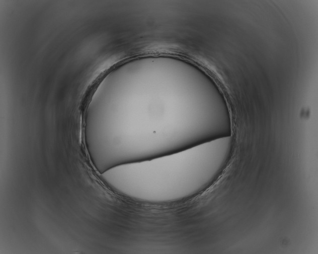 X0000091661219200708230942