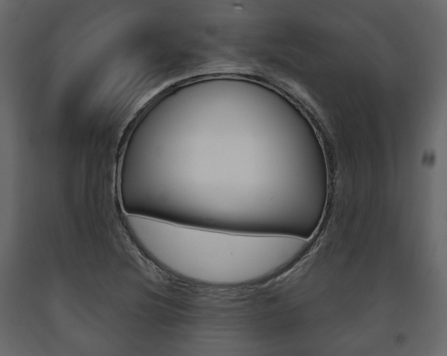 X0000091661220200708230942
