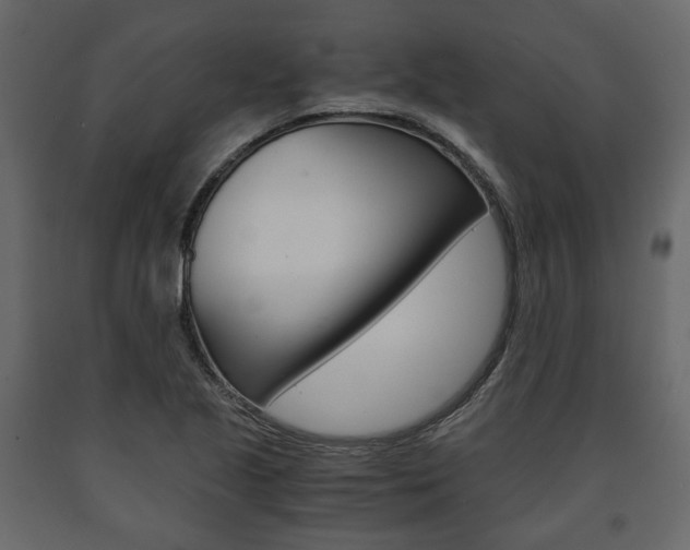 X0000091661221200708230942
