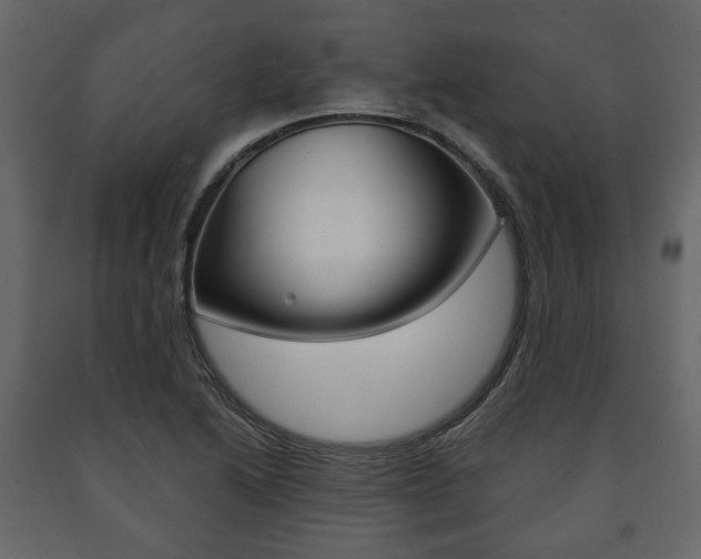 X0000091661222200708230942