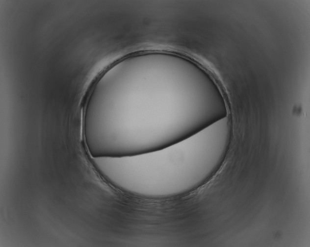 X0000091661223200708230942