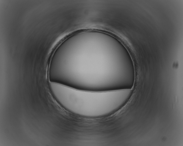 X0000091661224200708230942