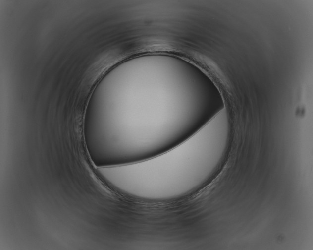 X0000091661225200708230942