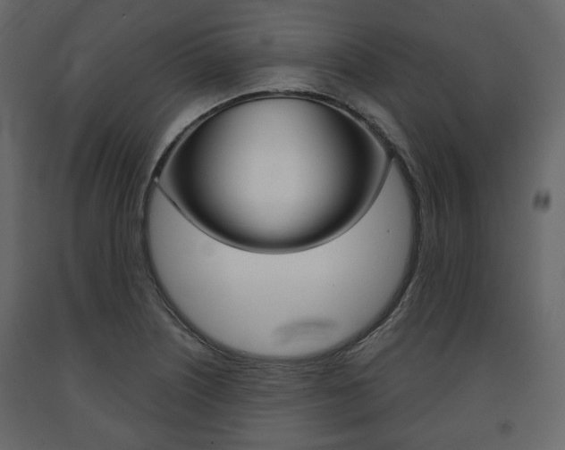 X0000091661226200708230942