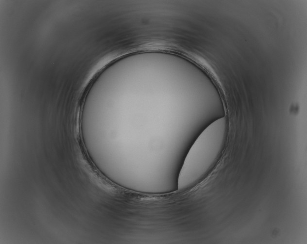X0000091661227200708230942