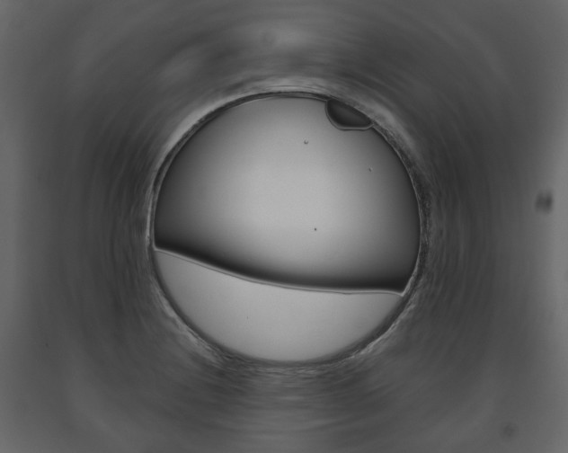 X0000091661228200708230942