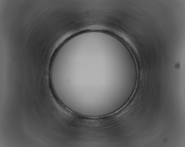 X0000091661229200708230942