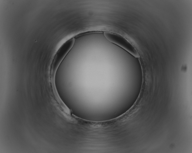 X0000091661230200708230942