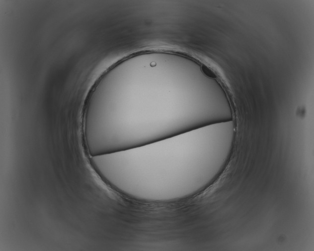 X0000091661231200708230942